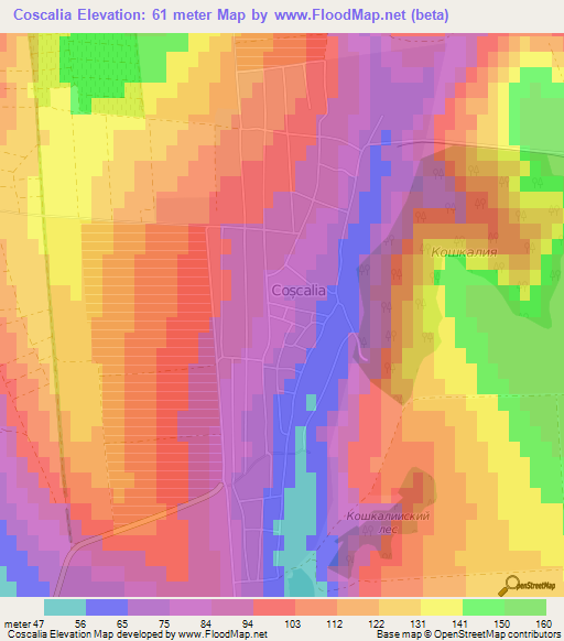 Coscalia,Moldova Elevation Map