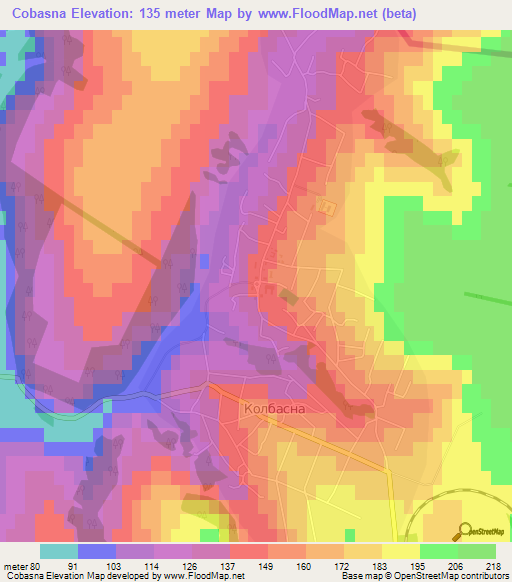 Cobasna,Moldova Elevation Map