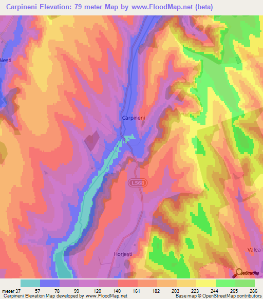 Carpineni,Moldova Elevation Map