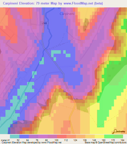 Carpineni,Moldova Elevation Map