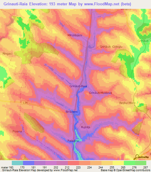 Grinauti-Raia,Moldova Elevation Map