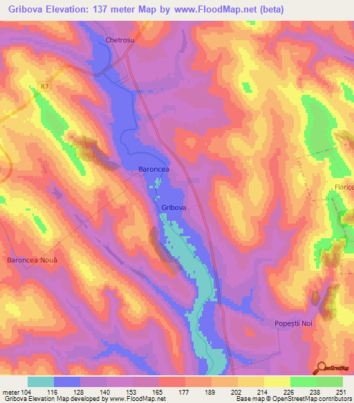 Gribova,Moldova Elevation Map