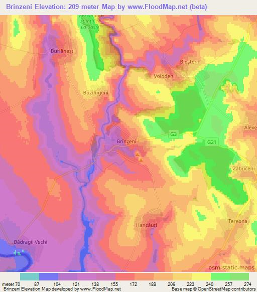 Brinzeni,Moldova Elevation Map