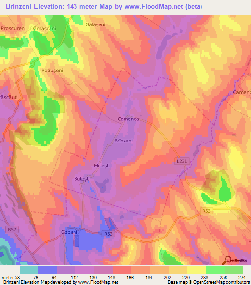 Brinzeni,Moldova Elevation Map