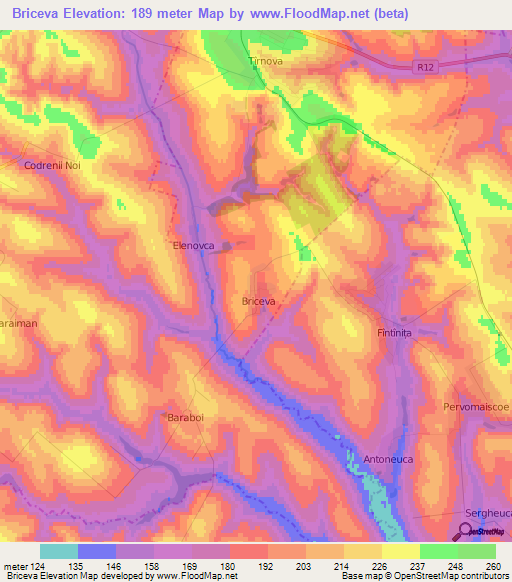 Briceva,Moldova Elevation Map