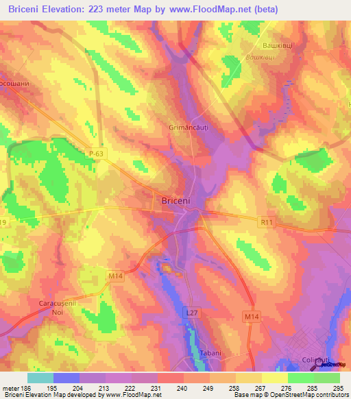 Briceni,Moldova Elevation Map