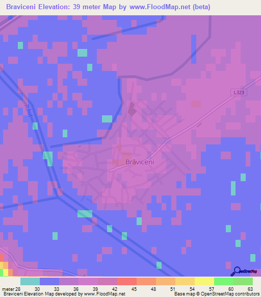 Braviceni,Moldova Elevation Map