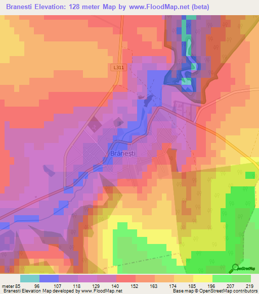 Branesti,Moldova Elevation Map