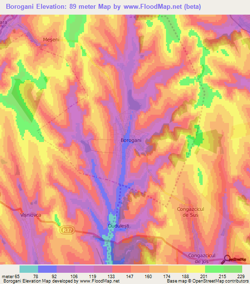 Borogani,Moldova Elevation Map