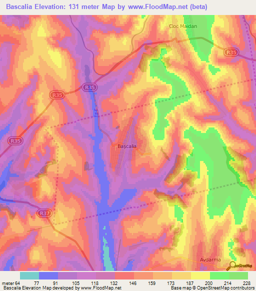 Bascalia,Moldova Elevation Map