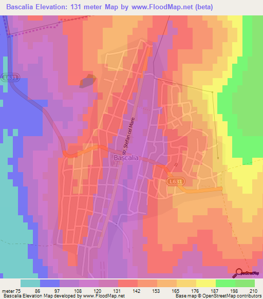 Bascalia,Moldova Elevation Map