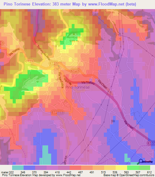 Pino Torinese,Italy Elevation Map