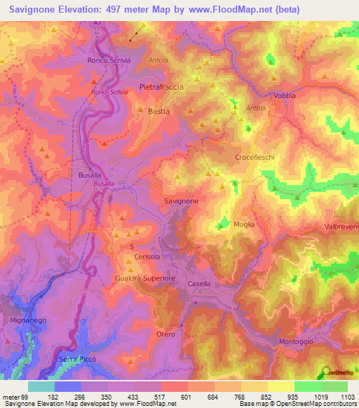 Savignone,Italy Elevation Map