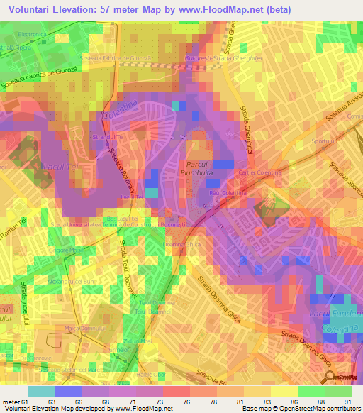 Voluntari,Romania Elevation Map