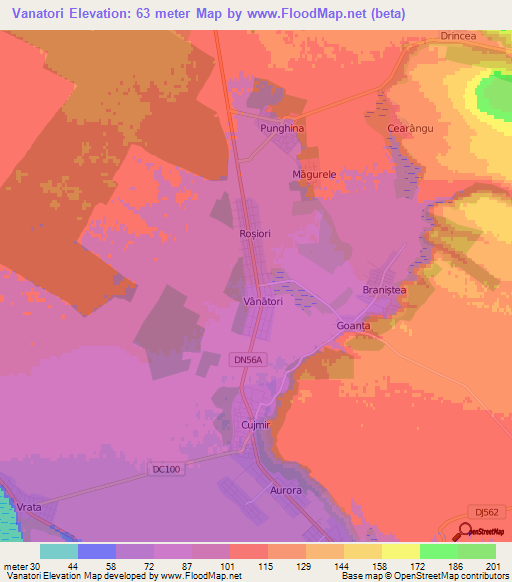 Vanatori,Romania Elevation Map