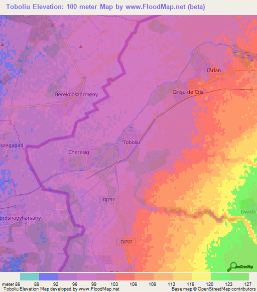 Toboliu,Romania Elevation Map