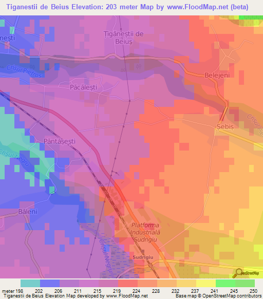 Tiganestii de Beius,Romania Elevation Map