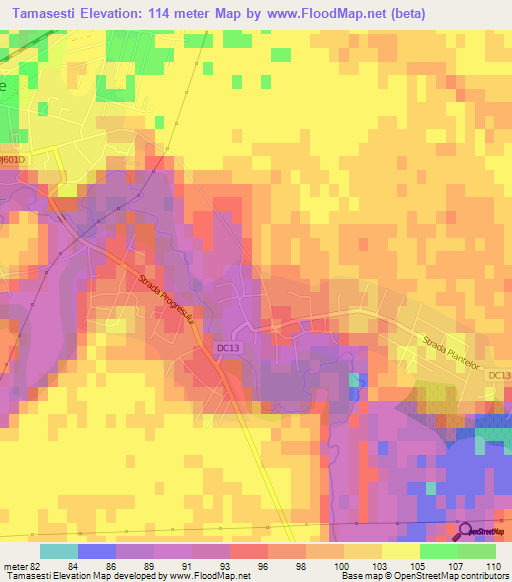 Tamasesti,Romania Elevation Map