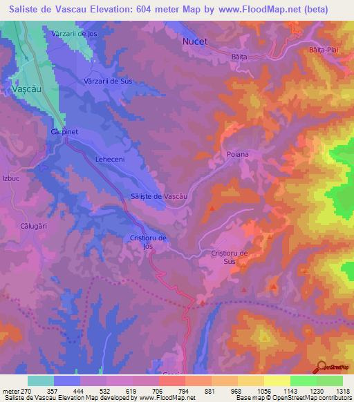 Saliste de Vascau,Romania Elevation Map