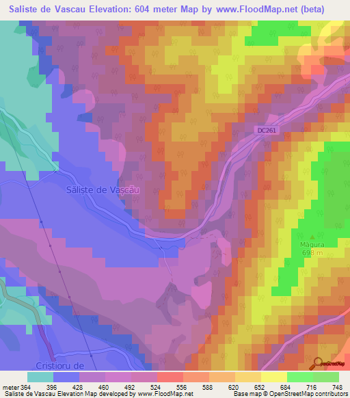 Saliste de Vascau,Romania Elevation Map