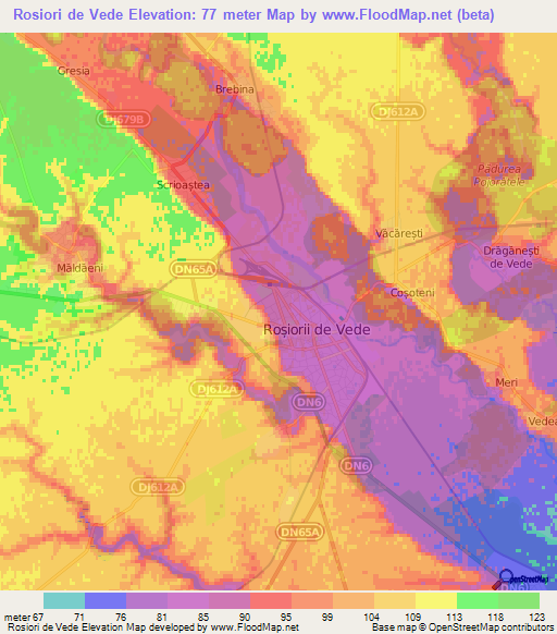 Rosiori de Vede,Romania Elevation Map