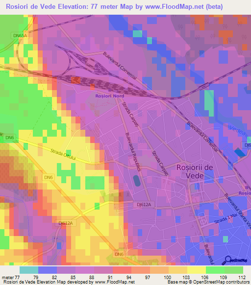 Rosiori de Vede,Romania Elevation Map