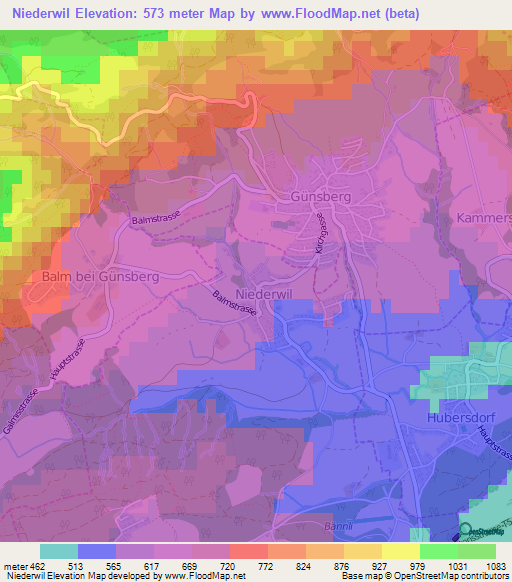 Niederwil,Switzerland Elevation Map