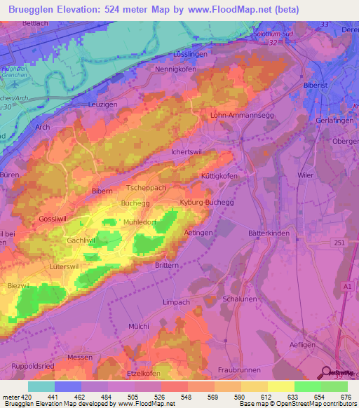 Bruegglen,Switzerland Elevation Map
