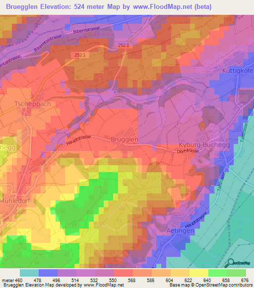 Bruegglen,Switzerland Elevation Map