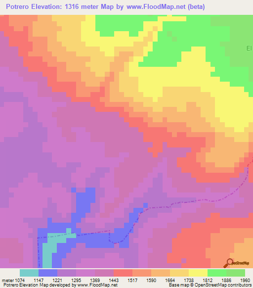 Potrero,Mexico Elevation Map