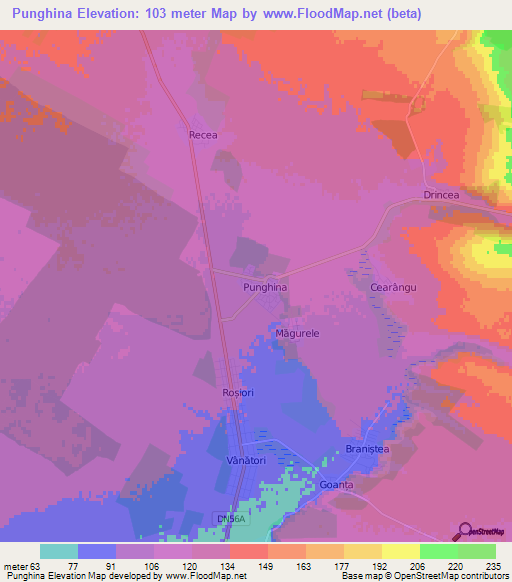 Punghina,Romania Elevation Map