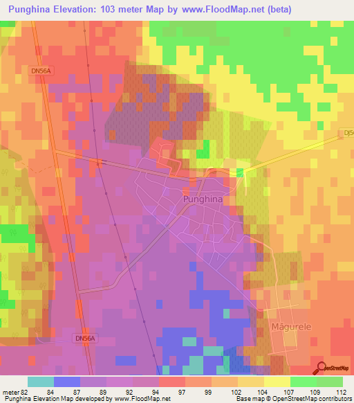 Punghina,Romania Elevation Map