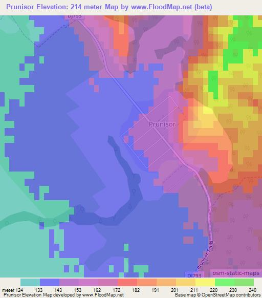 Prunisor,Romania Elevation Map