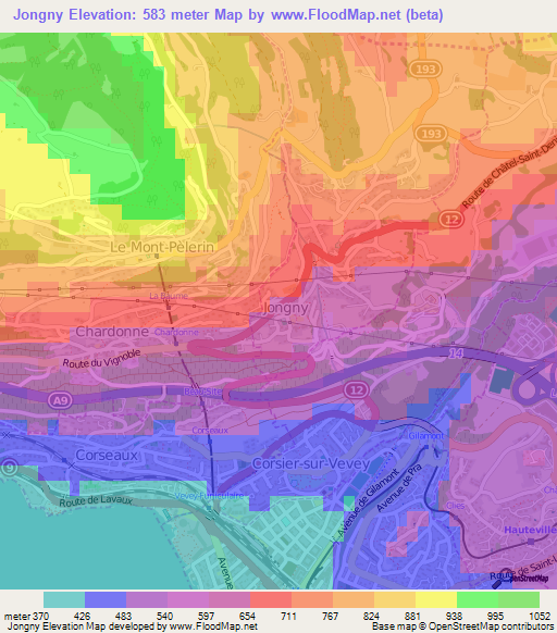 Jongny,Switzerland Elevation Map