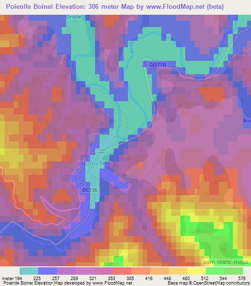 Poienile Boinei,Romania Elevation Map