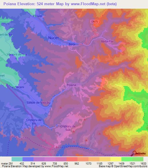 Poiana,Romania Elevation Map