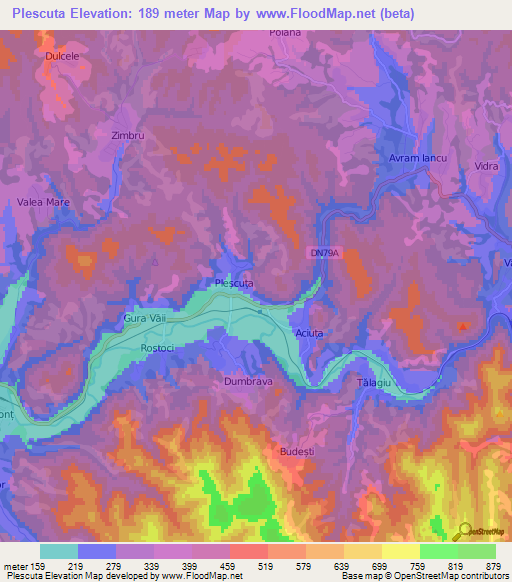 Plescuta,Romania Elevation Map