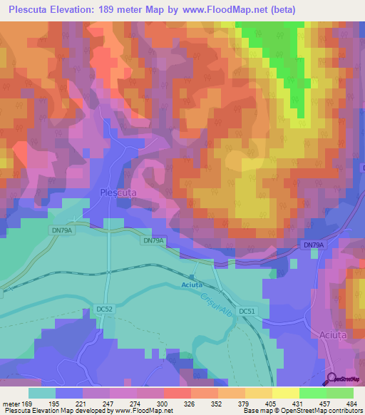 Plescuta,Romania Elevation Map