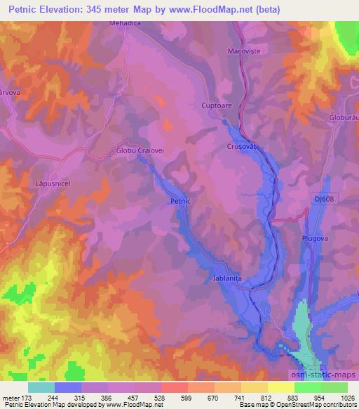 Petnic,Romania Elevation Map