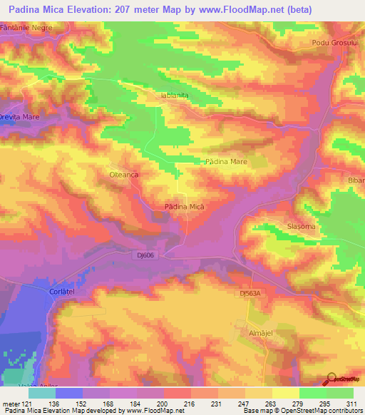 Padina Mica,Romania Elevation Map