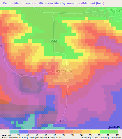 Padina Mica,Romania Elevation Map