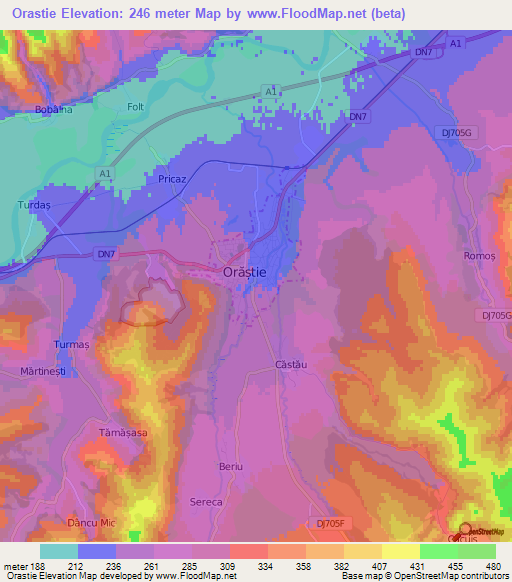 Orastie,Romania Elevation Map