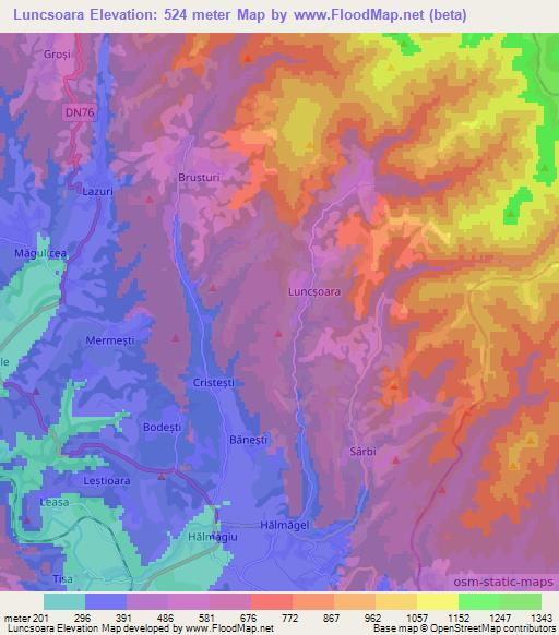 Luncsoara,Romania Elevation Map