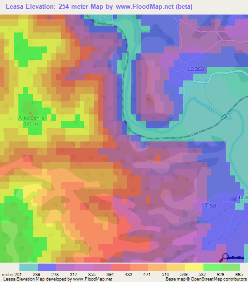 Leasa,Romania Elevation Map