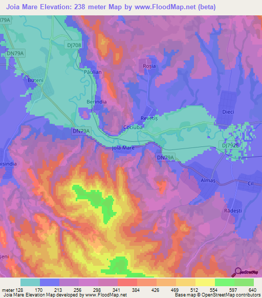 Joia Mare,Romania Elevation Map