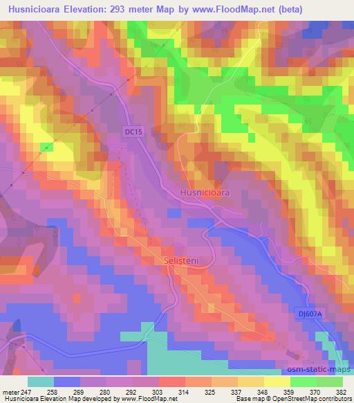 Husnicioara,Romania Elevation Map