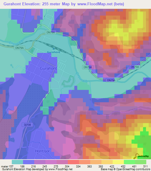 Gurahont,Romania Elevation Map