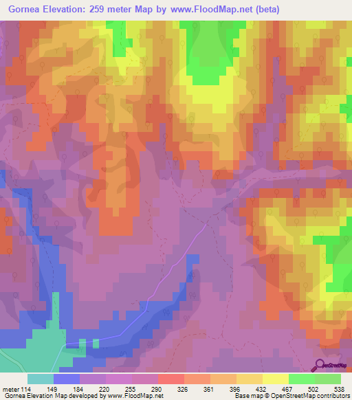 Gornea,Romania Elevation Map