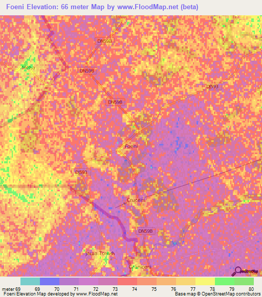 Foeni,Romania Elevation Map