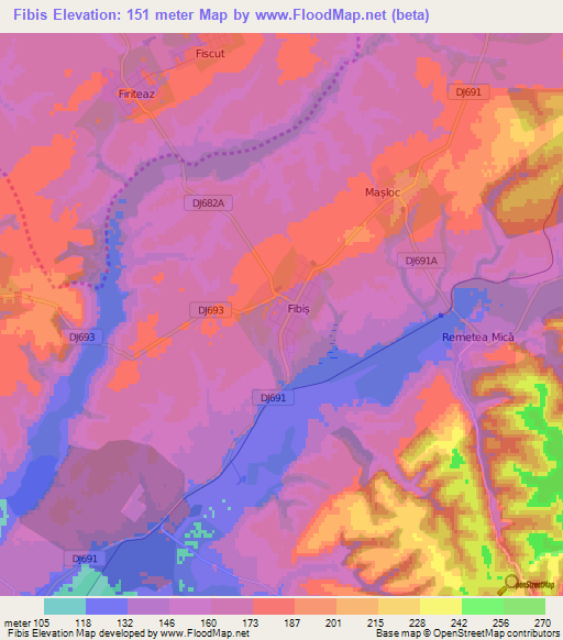 Fibis,Romania Elevation Map